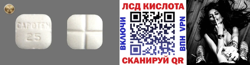 LSD-25 экстази кислота  где найти   Новоалександровск 