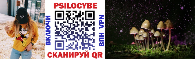 Псилоцибиновые грибы Psilocybine cubensis  гидра   Новоалександровск  купить наркотик 