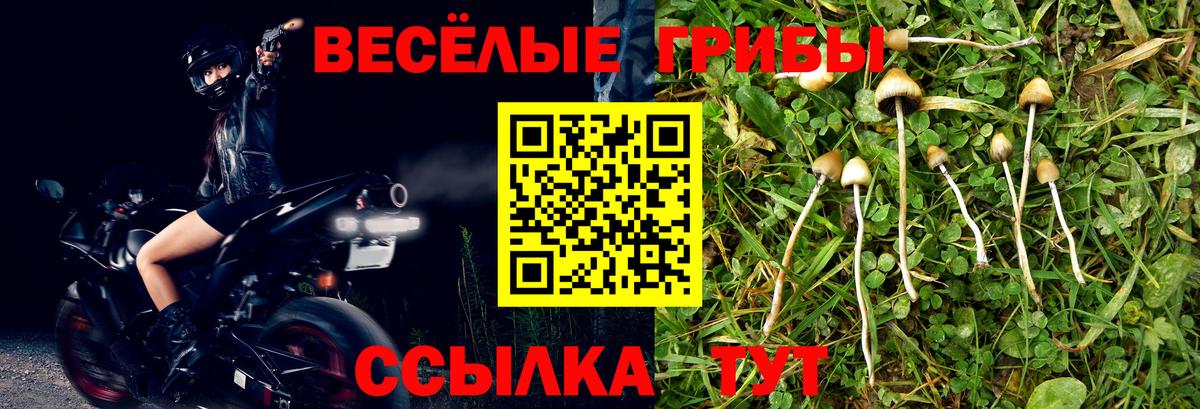 Галлюциногенные грибы Magic Shrooms  Вход с VPN  Новоалександровск 
