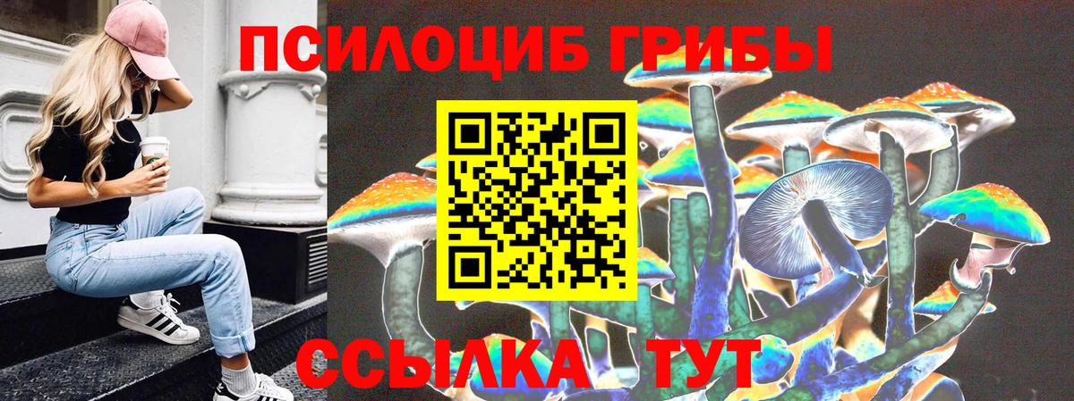 Псилоцибиновые грибы ЛСД Новоалександровск